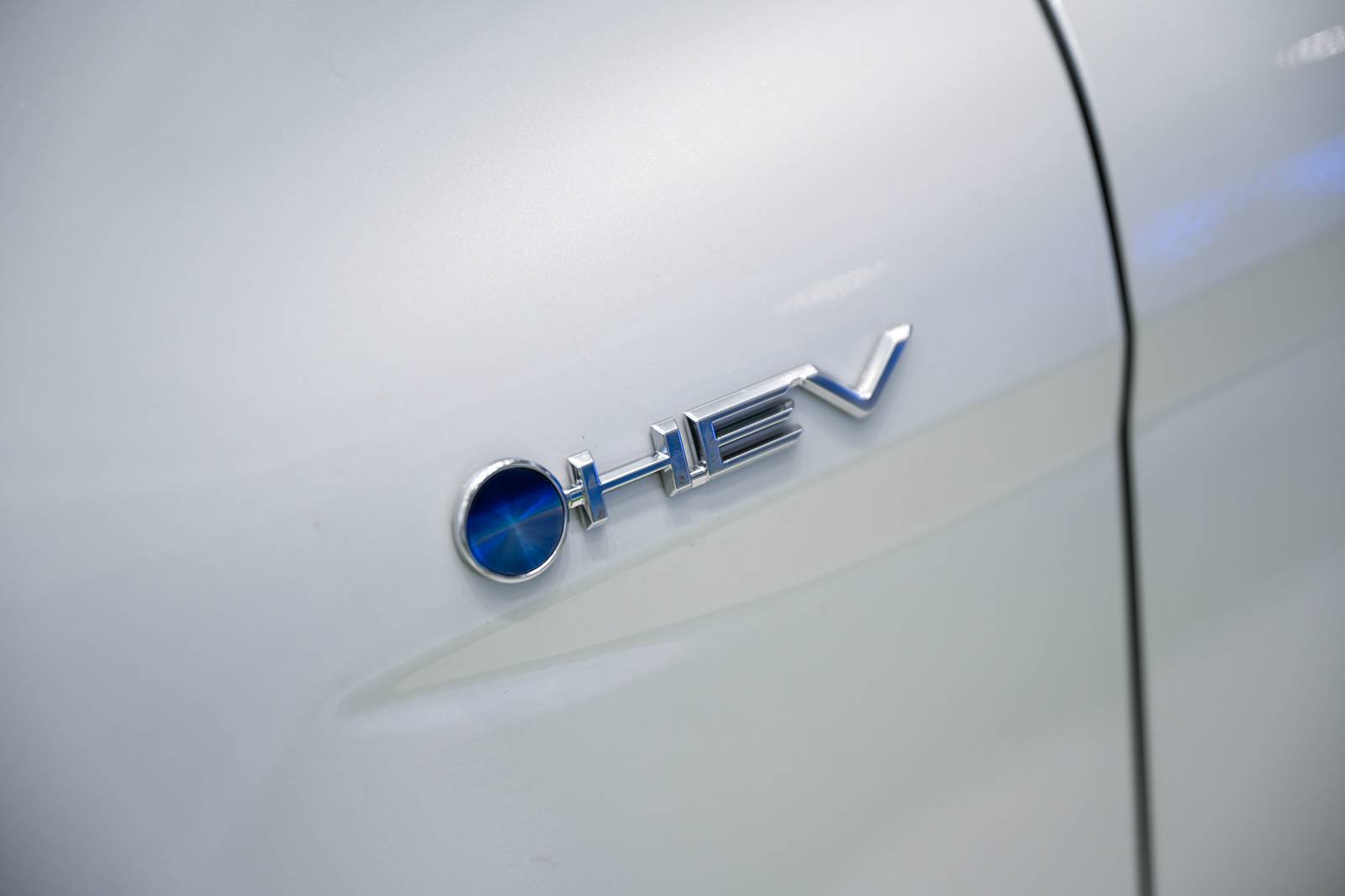 20240125_1706132075188705.jpg DSC_8311.JPG