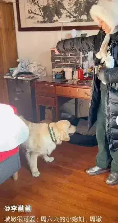 演員李勤勤收養周海媚愛犬